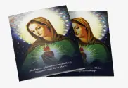 PAKIET 10 szt. Modlitwa Elżbiety Kindelmann o wylanie Płomienia miłości Niepokalanego Serca Maryi - OBRAZEK